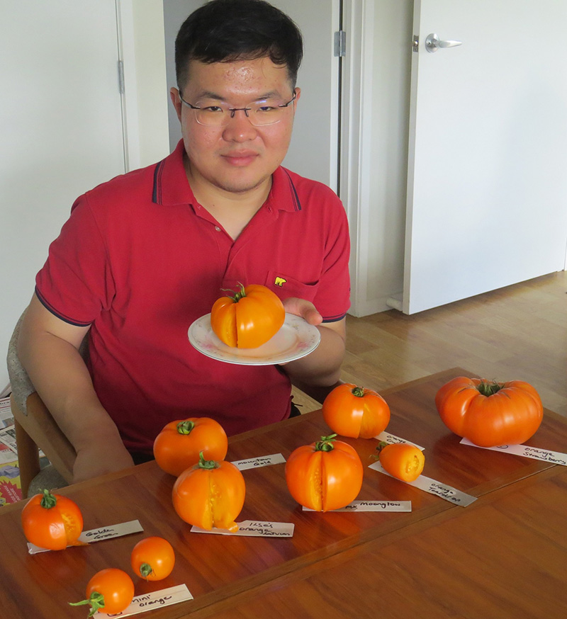 Hartono Tanambell with selection of HFCRT tomatoes